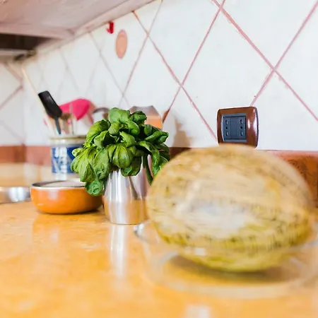 Casa Lucia